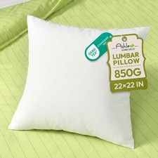 Ashler 22 x 22 Pillow Inserts, Square Throw Pillow Inserts, Set of 1 Decora...