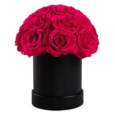 18 Preserved Flowers for Delivery Prime, Roses Dome Forever Flower Decor for ...