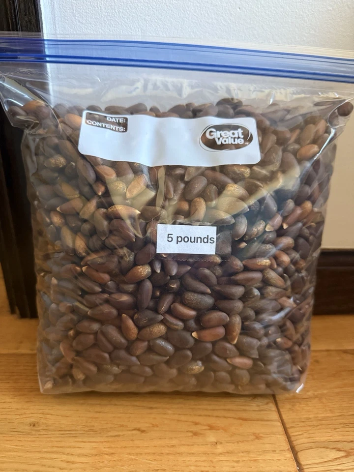 Piñones piñones frescos crudos California 2025 con cáscara 5 libras por 125 dólares Foto 3 de 4