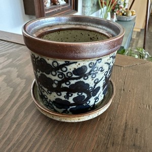25+ Takahashi Planter for sale | Updated Oct 2026