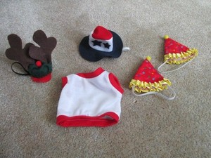 Guinea Pig shirt and hats