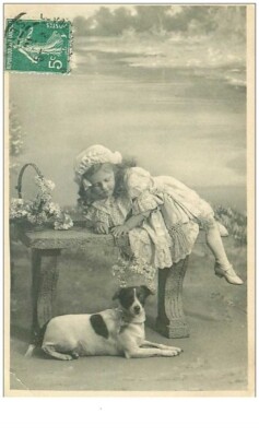 Tiere.Nr.33199. hund. dackel.
