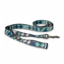 Good2Go Cool Desert Vibes Dog Leash, 6 ft.