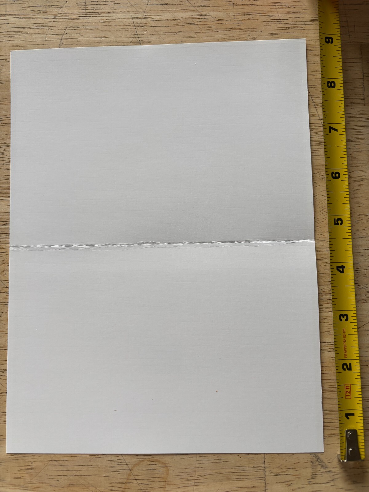 Foto 11 di 13