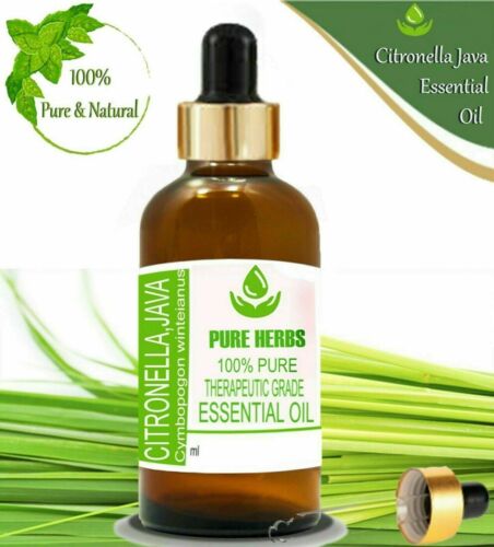 Pure Herbs Citronella Java 100% Natural Cymbopogon winterianus Essential Oil