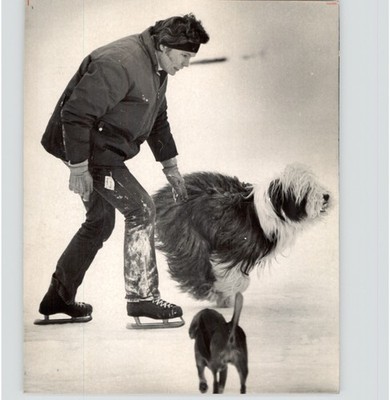 Tom Boschen Skating with Dog in City Park Denver CO 1974 Press Photo