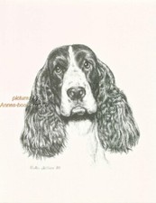 #253 ENGLISH SPRINGER SPANIEL  *dog art print * Pen & ink drawing * Jan Jellins