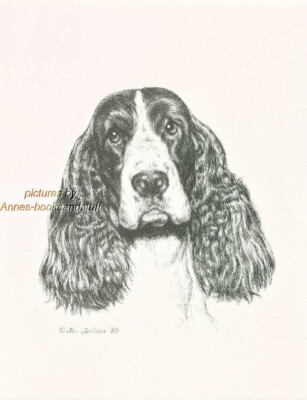 #253 ENGLISH SPRINGER SPANIEL  *dog art print * Pen & ink drawing * Jan Jellins