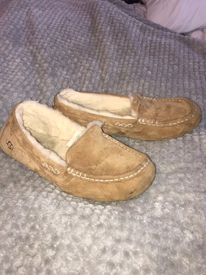 chestnut moccasins