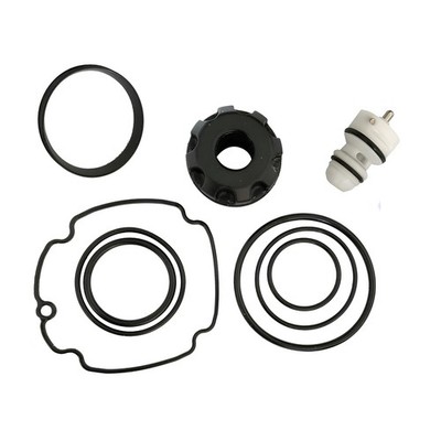 Phyxlyn RN46 RN46-RK Rebuilt Kit Fit RN46-RK, RN46, 191777, TVA6 