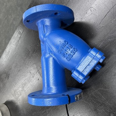 Albion DN85 PN16 GG25 Gusseisensieb 