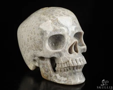 5.1" Coral Fossil Hand Carved Crystal Skull, Super Realistic, Crystal Healing
