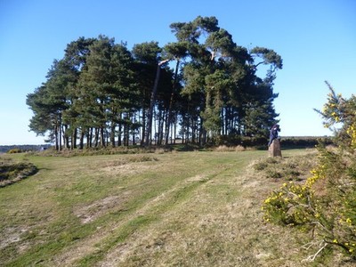 Foto A2 Camp Hill Clump Duddleswell Ashdown Forest ist ein ehemaliges Mittelalter c2013
