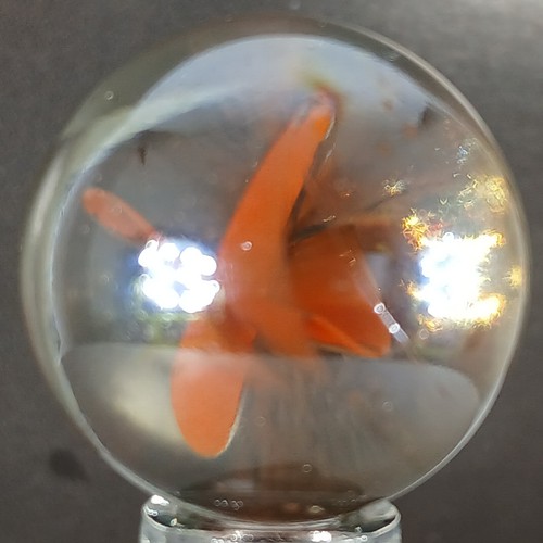 Large Iridescent Cat's Eye .96 Inches Near-Mint Condition Combined Shipping - Picture 1 of 24