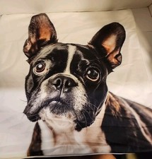 French Bulldog, Boston Terrier Throw Pillow Cover, Fun Decor, Dog Lover, Pillow