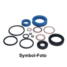 Dichtsatz für Hubwagen Yale HP22 Quicklift (Dichtungssatz, Hydraulik)