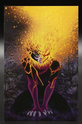 Grim (2022) #6 Flaviano Unlockable Variant Cover Boom! Stephanie Phillips NM