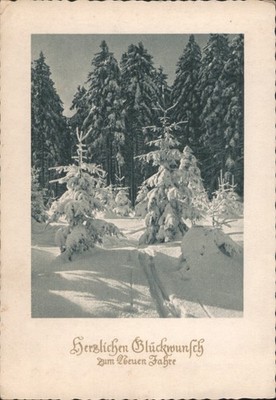 Waldbad, Germany Herzlichen Gluckwunsch Zum Neuen Jahre, Winter Forest Scene