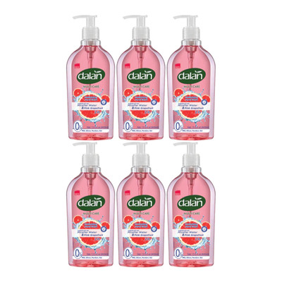 Dalan 2-in-1 Hand Wash Micellar Water & Pink Grapefruit, 13.5oz. (Pack of 6)