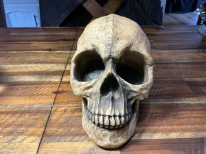 Vintage Gothic Large Resin Skull Head Excellent!