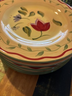 Set Of 6 Pfaltzgraff Napoli Hand Painted 9'' Luncheon Plates NWOT