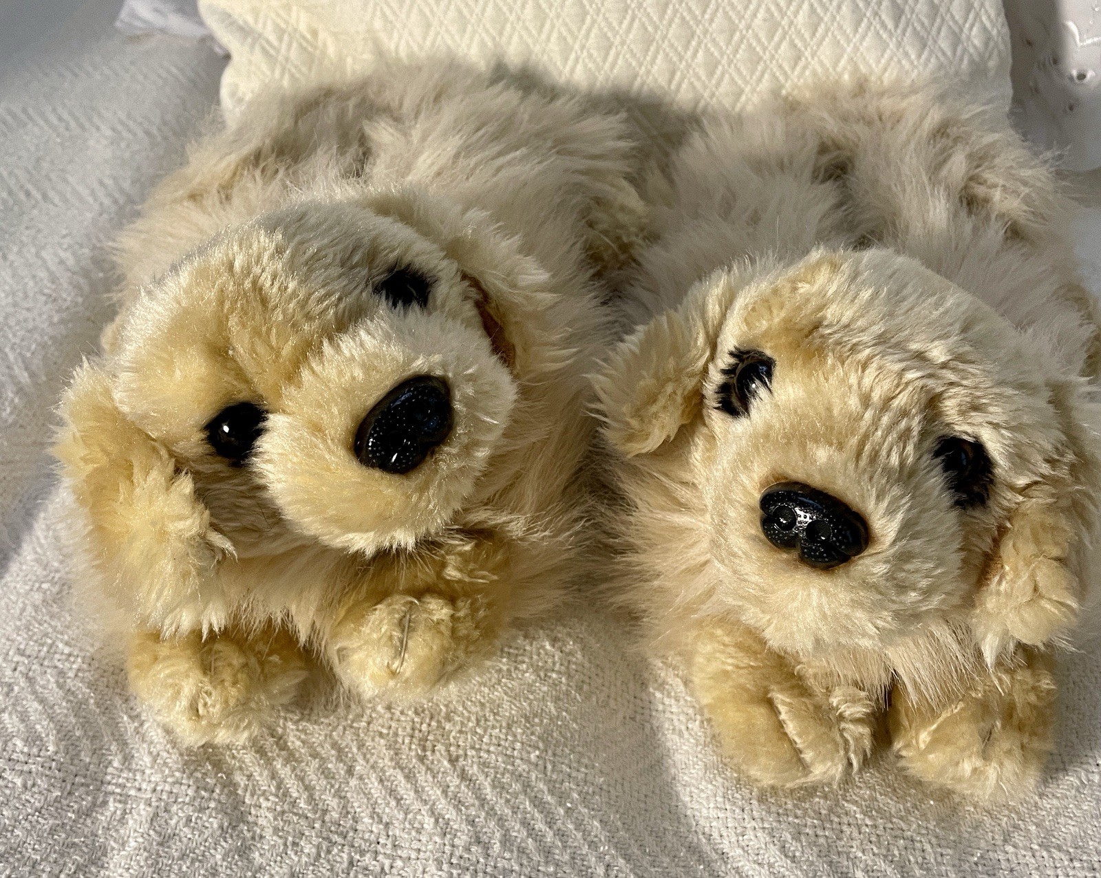 PANTOFOLA D’ORO Ciabatte morbide per cani Gol Retriever. Marrone dorato. Donna S