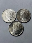 Run of 3  Silver Peace Dollars  1922,23,24, Brilliant Uncirculated