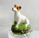 Jack Russell Terrier, Best In Breed, Limited Limoges Porcelain Box, France 🇫🇷