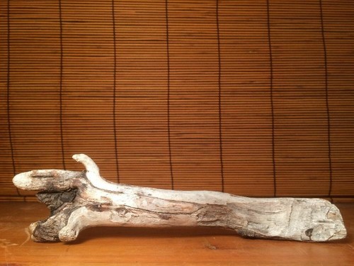 natural scavenged Driftwood Art Craft landscaping statue aquarium drift wood 9" - Picture 8 of 9