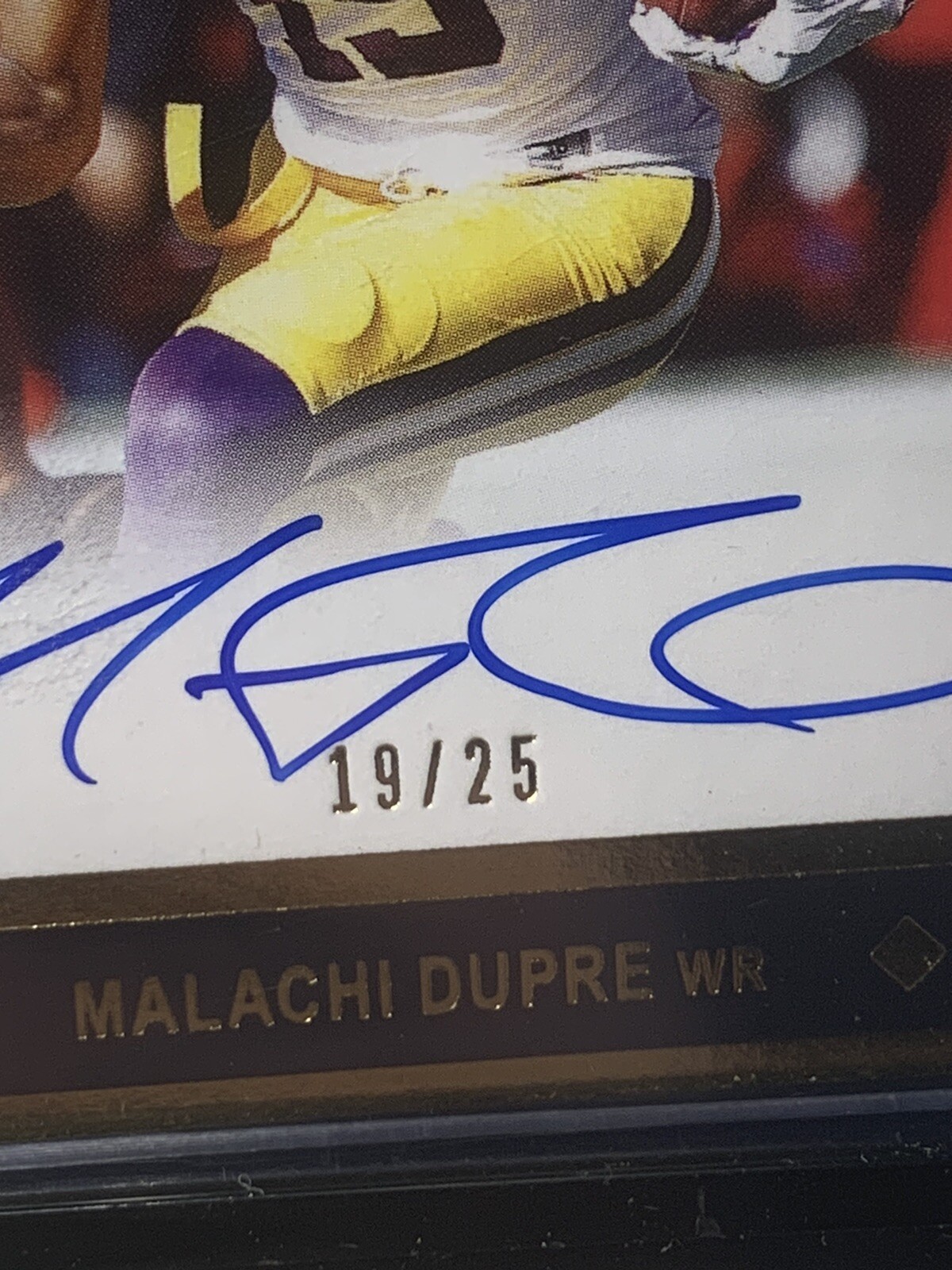 Picture 4 of 4