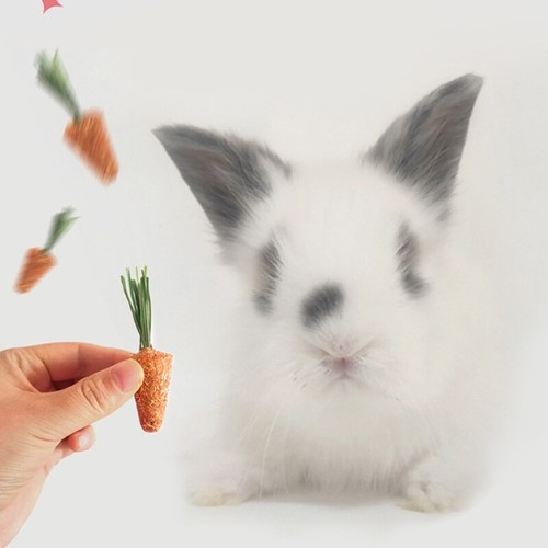 Bunny Chew Toy for Teething for Hay Treats for Rabbit Chinchilla Hamsters Chewin - Picture 2 of 8