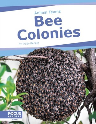 BEE COLONIES by BECKER, TRUDY Paperback Self Help Business
