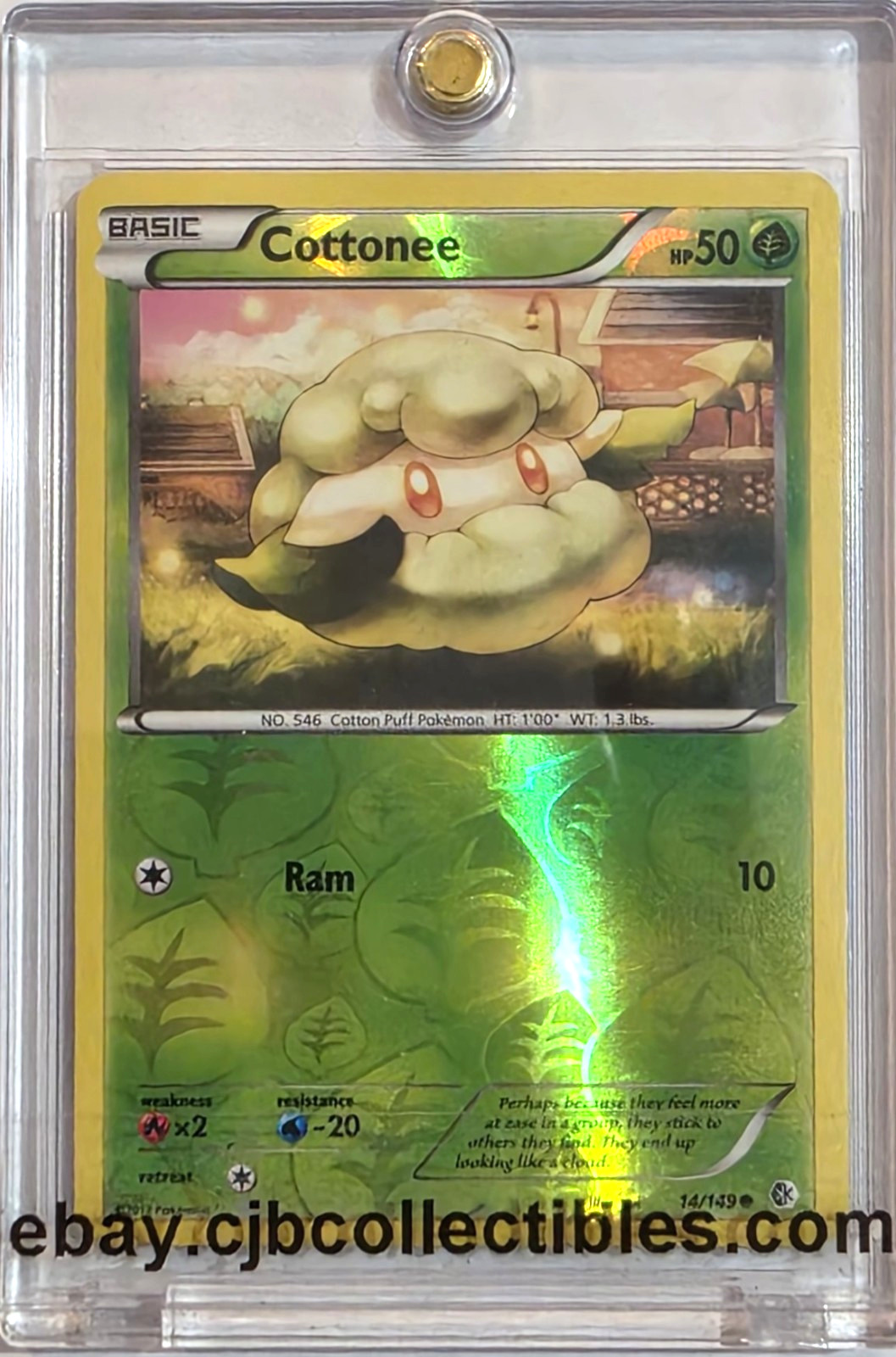 Pokémon COTTONEE 14/149 Reverse Holo Boundaries Crossed - Near Mint 🍒
