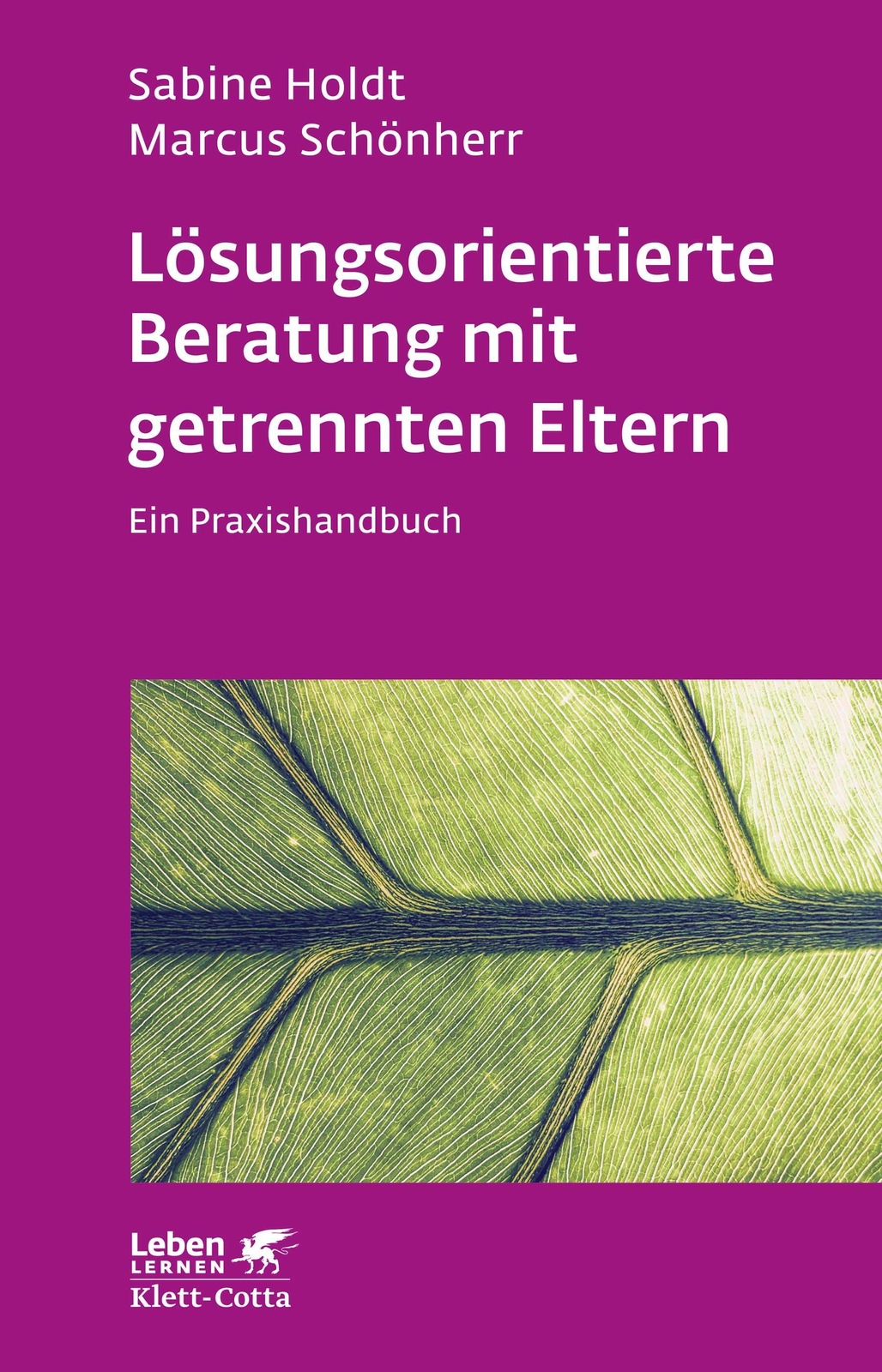Thumbnail - Lösungsorientierte Beratung Mit Getrennten Eltern (leben Lernen, Bd.