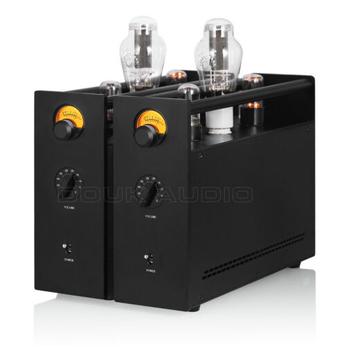 Defective-300B Mono-Vakuum Röhrenverstärker Stereo Tube Power Amplifier - Afbeelding 1 van 9