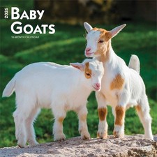 Baby Goats Calendar 2026 - Animal - Month To View