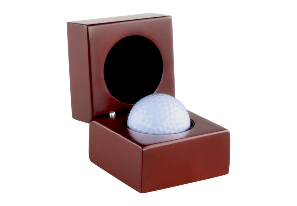 Display Box Trophy Case