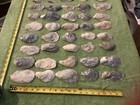 Lot of 58 Atlantic Oyster Shells 2.5 To 4.75 Inch Long Craft Art — photo 2