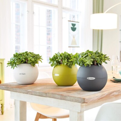 Lechuza self watering planter Puro20 premium stylish flower herbs plants pot