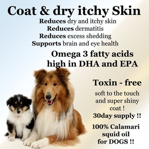 light up retractable dog leash