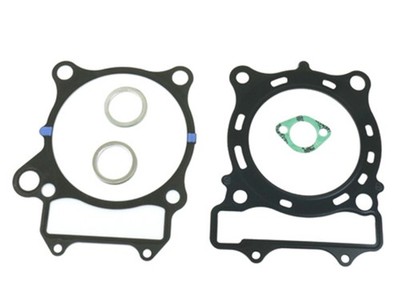 Dichtsatz Beeline Bestia 5.5 / Online X 5.5 Dichtung