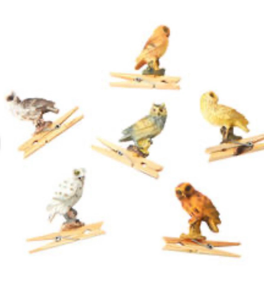 12 Pinzas para Ropa Búho Decoración Primavera Acción Clip Resina Artesanía Corona Tendedero Nuevo Foto 2 de 4