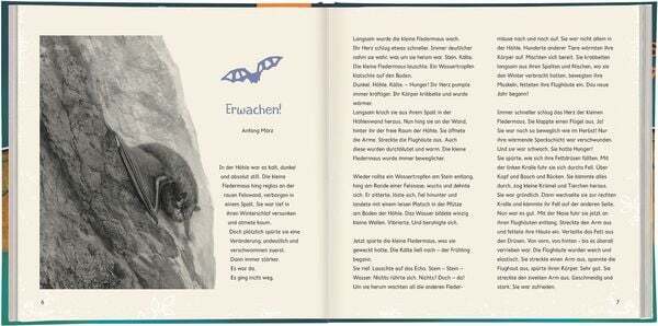 Thumbnail - Expedition Natur: Wild Die Fledermaus
