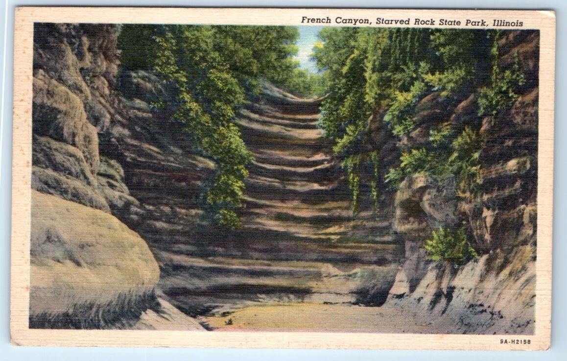 French Canyon Starved Rock State Park ILLINOIS Postcard