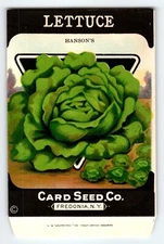 Hanson's Lettuce 1920's Card Seed Co Packet EMPTY Vintage Fredonia New York NY