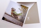 DACHSHUND SUPER HERO DOG CARDS, LOT OF 8, ORIGINAL RETAIL = $39.60 — photo 5