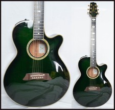TAKAMINE NPT-115 See-Through Green Burst Round Top & Back, Made in Japan