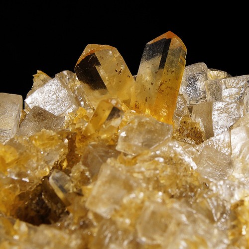 Cristalli di selenite gialla su Halite da Salinas de Otuma - Perù - Foto 4 di 5
