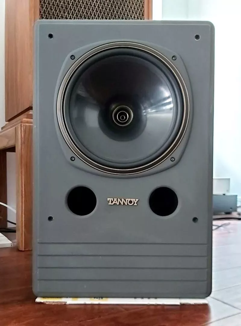 Tannoy system 12 dmt sales