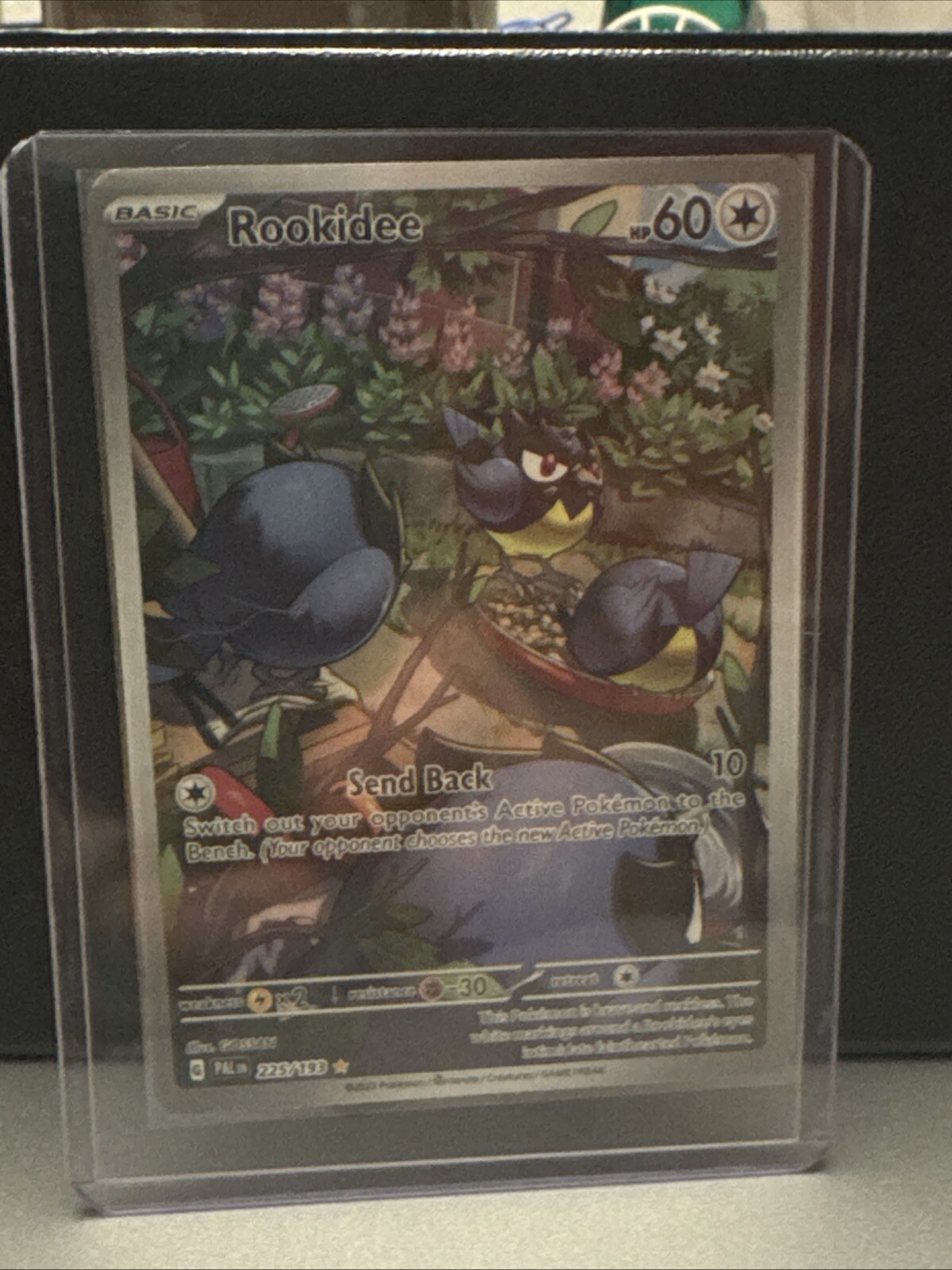Rookidee 225/193 Sv02: Paldea Evolved Holo